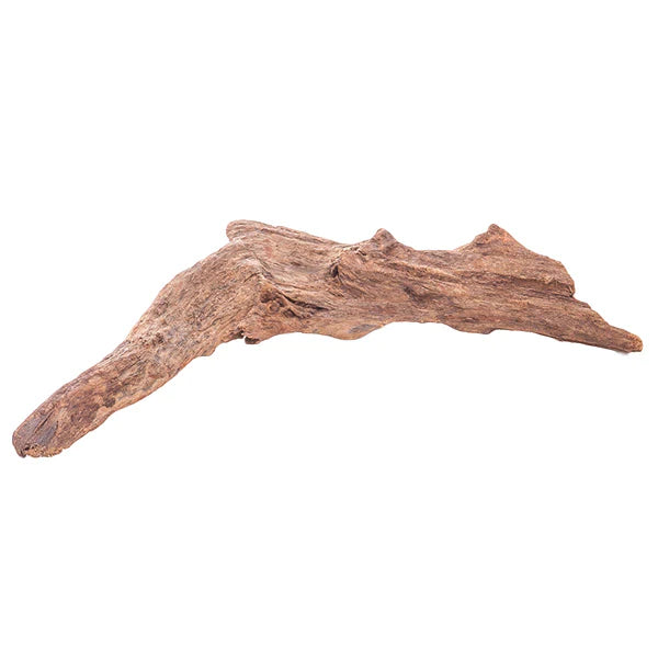 Driftwood - Medium / Large